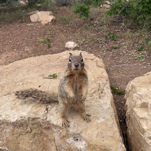 Meet your Posher, Josie